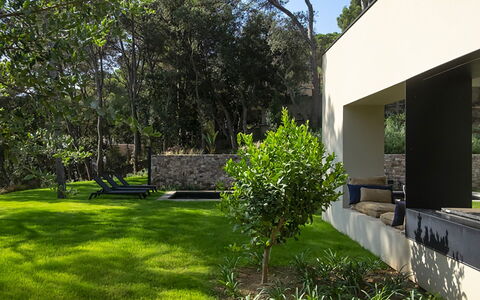 Villa Bamby: Strauch, Garten, Schatten, Grundstueck, Ground, Landscaping, Hinterhof, Rasen, Beton, Garten