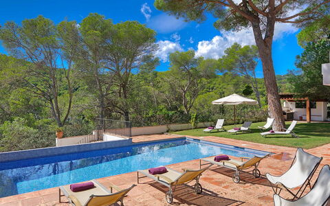 Villa Cassiopea: Schwimmbad, Resort, Gartenmöbel, Schatten, Garten, Eco Hotel, Sonnenliege, Landscaping, Villa, Hinterhof