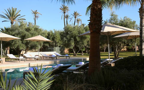 Villa Eleganza: Schwimmbad, Resort, Gartenmöbel, Sonnenliege, Schatten, Stuhl, Landscaping, Eco Hotel, Hotel