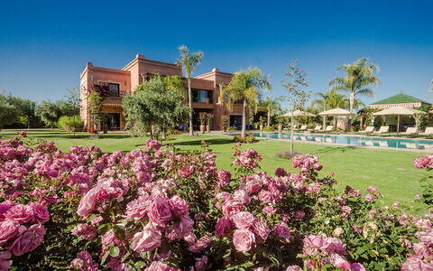 Villa Annarosa: Garten, Estate, Villa, Landscaping, Resort, Hazienda, Rasen, Villa, Eco Hotel