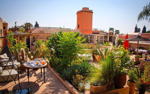 Riad Ikram: Blumentopf, Zimmerpflanze, Garten, Stuhl, Landscaping, Gartenmöbel, Hazienda, Terrasse, Eco Hotel, Garten