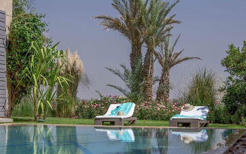 Villa Orange Trees: Schwimmbad, Resort, Gartenmöbel, Möbel, Eco Hotel, Garten, Sonnenliege, Landscaping, Schatten, Hinterhof