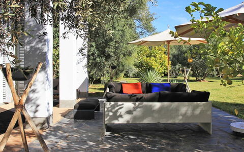 Villa Susan: Möbel, Gartenmöbel, Schatten, Garten, Stuhl, Landscaping, Sonnenliege, Rasen, Garten, Eco Hotel