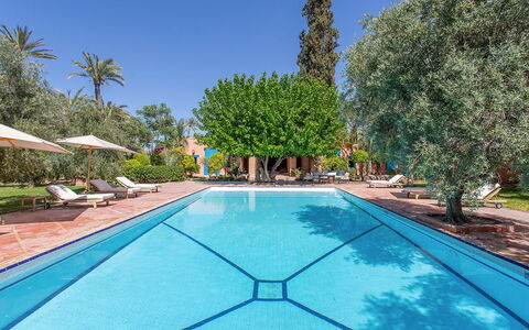 Villa Royale: Schwimmbad, Resort, Gartenmöbel, Eco Hotel, Schatten, Thermae, Hazienda, Sonnenliege, Garten, Estate