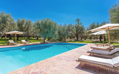 Villa Royale: Blau, Schwimmbad, Resort, Schatten, Landscaping, Garten, Eco Hotel, Gartenmöbel, Hazienda