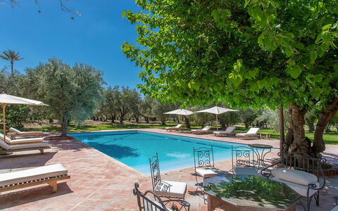Villa Royale: Schwimmbad, Resort, Gartenmöbel, Schatten, Estate, Garten, Hazienda, Landscaping, Villa, Reflecting Pool