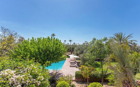 Villa Royale: Strauch, Resort, Garten, Schwimmbad, Landscaping, Hazienda, Estate, Eco Hotel, Schatten