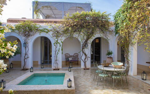 Villa Mauri: Blumentopf, Schwimmbad, Bogen, Estate, Resort, Hof, Hazienda, Zimmerpflanze, Schatten, Eco Hotel