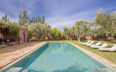 Villa Mauri: Schwimmbad, Estate, Hazienda, Reflexion, Landscaping, Resort, Water Feature, Hof, Reflecting Pool