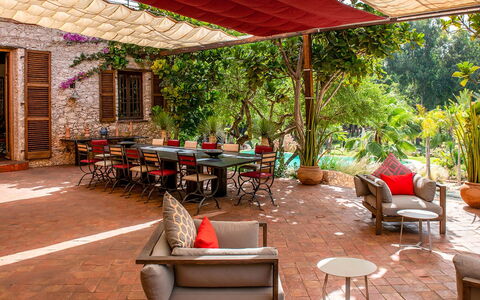 Le Jardin Mogador: Möbel, Stuhl, Gartenmöbel, Tabelle, Tisch Im Freien, Garten, Resort, Schatten, Hinterhof, Blumentopf