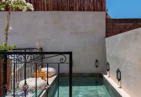 Riad Ali: Verbundwerkstoff, Schwimmbad, Fliese, Blumentopf, Zimmerpflanze, Hof, Water Feature, Flagstone