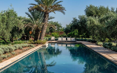 Dar Moon: Schwimmbad, Reflexion, Resort, Garten, Reflecting Pool, Hazienda, Landscaping, Estate, Water Feature