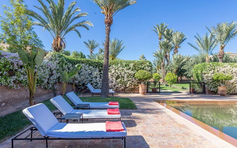 Villa Exotic: Schwimmbad, Resort, Gartenmöbel, Garten, Landscaping, Eco Hotel, Hazienda, Schatten, Sonnenliege