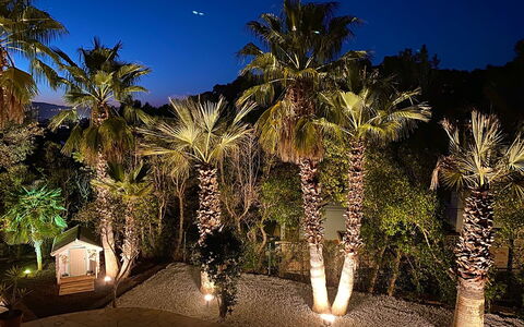 Villa Joel: Nacht, Garten, Landschaft Beleuchtung, Gehölz, Landscaping