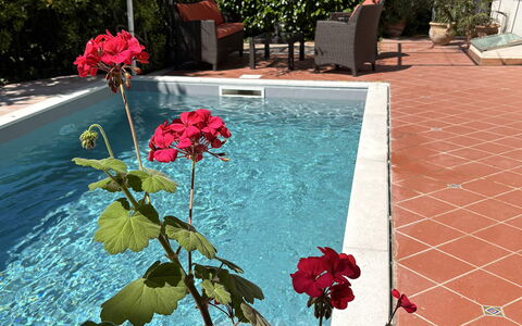 Villa Ava: Blumentopf, Schwimmbad, Garten, Schatten, Zimmerpflanze, Landscaping, Hinterhof, Garten, Water Feature