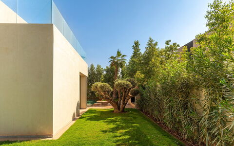 Villa Hamza: Strauch, Garten, Landscaping, Estate, Schatten, Design, Hinterhof, Garten, Villa, Hazienda