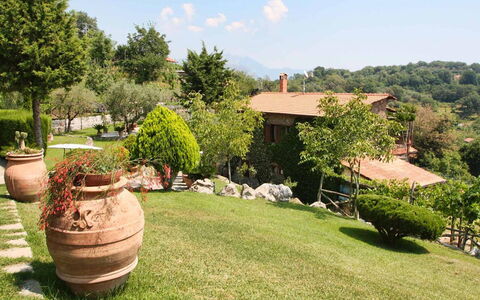 The Sea Farmhouse: Landschaft, Strauch, Garten, Ländliches Gebiet, Rasen, Landscaping, Hinterhof, Garten, Schatten