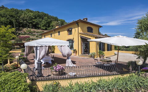 Villa delle Rose: Blumentopf, Estate, Markise, Garten, Hazienda, Stuhl, Zimmerpflanze, Villa, Küche & Esszimmer Tisch, Landscaping
