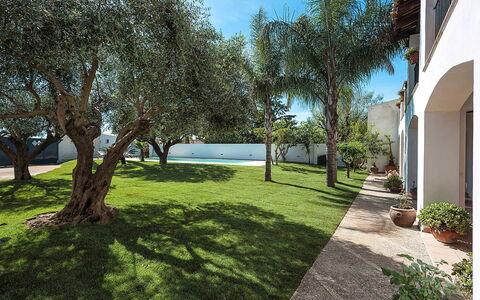 Casa Tika: Garten, Schatten, Rasen, Landscaping, Estate, Gehölz, Hinterhof, Garten, Hazienda, Hof