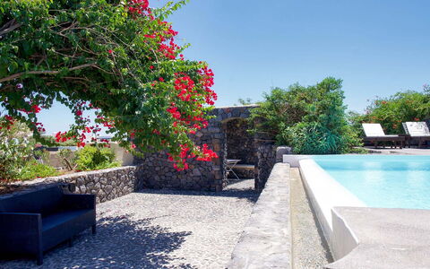 Mansion Kyani: Strauch, Blumentopf, Garten, Flagstone, Schatten, Landscaping, Resort, Zimmerpflanze, Hazienda