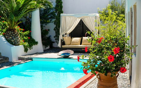 Mansion Sophia: Schwimmbad, Blumentopf, Resort, Eco Hotel, Gartenmöbel, Zimmerpflanze, Schatten, Freizeit, Garten