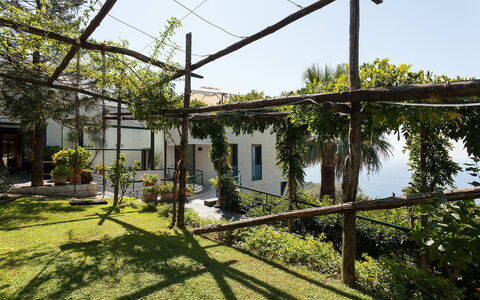 Villa Felicia: Schatten, Garten, Hinterhof, Garten, Landscaping, Hazienda, Pergola, Outdoor Struktur, Hof, Daylighting