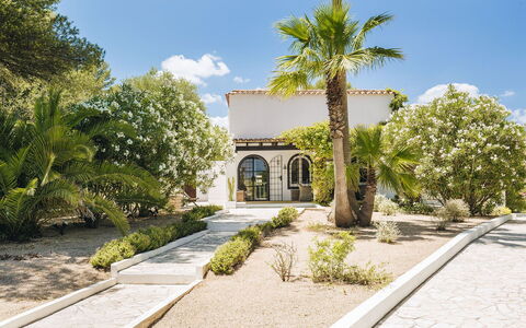 Villa Gold: Strauch, Zuhause, Estate, Hazienda, Garten, Auffahrt, Schatten, Landscaping, Villa