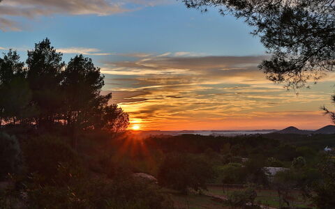 Villa Gold: Himmel, Fotografieren, Natur, Afterglow, Ast, Blatt, Natürlichen Umgebung, Sonnenuntergang, Dämmerung, Schönheit