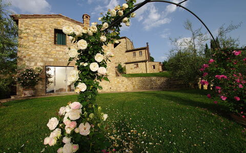 Villa Incanto: Blume, Blütenblatt, Frühling, Garten, Gartenrosen, Rose Family, Floristik, Landscaping, Rose