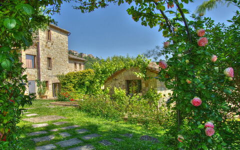 Villa Incanto: Blume, Strauch, Garten, Blütenblatt, Frühling, Landscaping, Krautige Pflanze, Hinterhof, Garten, Rose Family