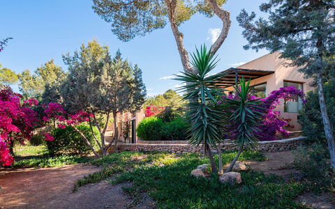 Villa Luanda: Blume, Vegetation, Strauch, Garten, Rosa, Frühling, Gehölz, Landscaping, Botanischer Garten, Schatten