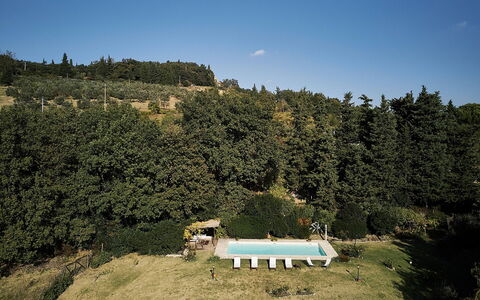 Villa Novellina: Freizeit, Erholung, Schwimmbad, Urlaub, Immergrün, Plantage, Pine Familie, Eco Hotel