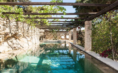 Villa Oasis: Natürliches Material, Water Feature, Steinwand, Schwimmbad, Pergola