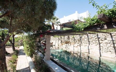 Villa Oasis: Garten, Schatten, Landscaping, Hinterhof, Flagstone, Hof, Garten, Water Feature, Walkway, Schwimmbad