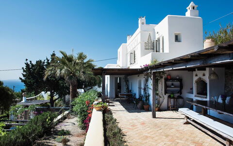 Villa Oasis: Blumentopf, Balkon, Zimmerpflanze, Stuhl, Resort, Villa, Eco Hotel, Hazienda, Gartenmöbel