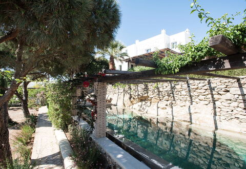 Villa Oasis: Garten, Schatten, Landscaping, Hinterhof, Flagstone, Hof, Garten, Water Feature, Walkway, Schwimmbad