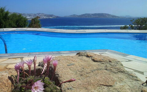 Villa Rose 1: Blau, Wasser, Schwimmbad, Gartenmöbel, Resort, Küste, Tropen, Schatten, Ferienort, Eco Hotel