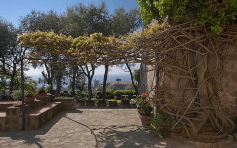 Villa Torre del Sole: Frühling, Blumentopf, Schatten, Garten, Flagstone, Landscaping, Zimmerpflanze, Walkway