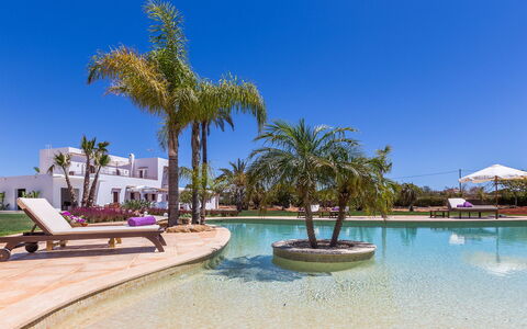Villa Violet: Schwimmbad, Resort, Hazienda, Eco Hotel, Landscaping, Garten, Villa, Ferienort, Schatten