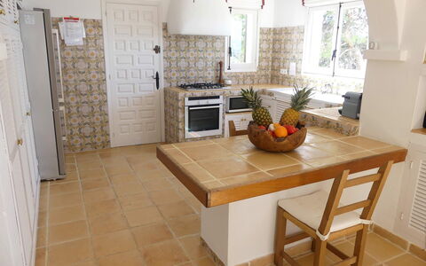 Villa Roxy: Möbel, Flooring, Fussboden, Interior Design, Holz, Küche, Countertop, Küchengerät, Stuhl, Zimmer