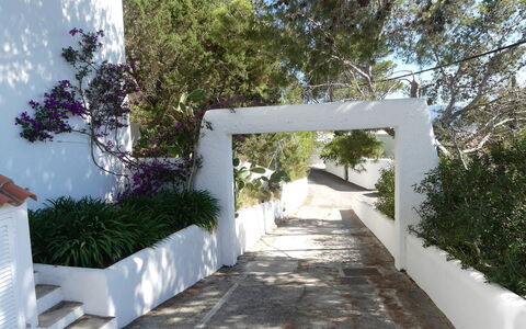 Villa Roxy: Strauch, Garten, Schatten, Landscaping, Beton, Design, Walkway, Hazienda, Hinterhof