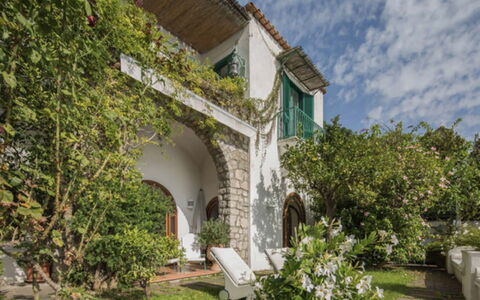 Villa Olivia: Strauch, Hazienda, Estate, Garten, Villa, Landscaping, Hof, Zimmerpflanze, Villa, \Arkade