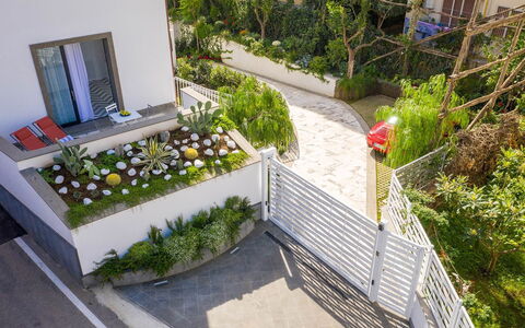 Suite Agave: Strauch, Garten, Urban Design, Landscaping, Garten, Hinterhof, Balkon, Hof, Walkway