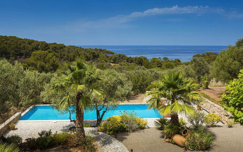 Villa Mallorca: Blau, Tropen, Küste, Schwimmbad, Resort, Bucht, Eco Hotel, Karibik