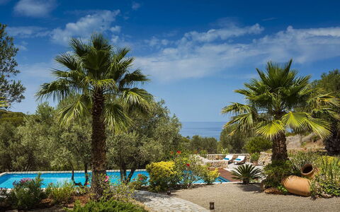 Villa Mallorca: Blau, Vegetation, Resort, Garten, Tropen, Eco Hotel, Schatten, Landscaping, Schwimmbad