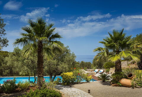 Villa Mallorca: Blau, Vegetation, Resort, Garten, Tropen, Eco Hotel, Schatten, Landscaping, Schwimmbad
