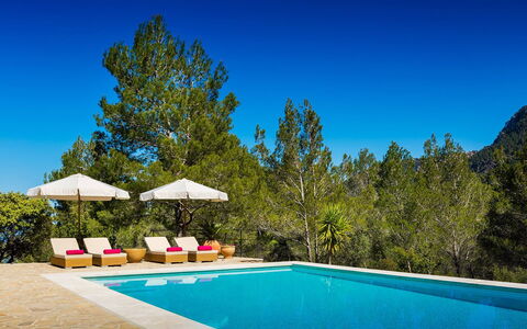 Villa Carlos: Blau, Schwimmbad, Schatten, Eco Hotel, Resort, Lärche, Pine Familie, Immergrün