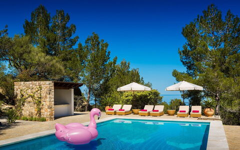 Villa Carlos: Schwimmbad, Resort, Gartenmöbel, Eco Hotel, Sonnenliege, Schatten, Regenschirm, Villa, Tropen, Hotel