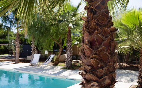 Villa Salentina: Schwimmbad, Gehölz, Resort, Eco Hotel, Schatten, Tropen