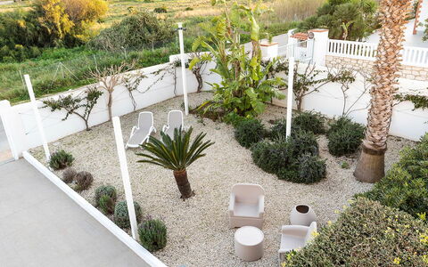 Kalimba: Strauch, Garten, Blumentopf, Landscaping, Schatten, Zimmerpflanze, Garten, Hazienda